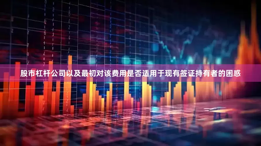 股市杠杆公司以及最初对该费用是否适用于现有签证持有者的困惑